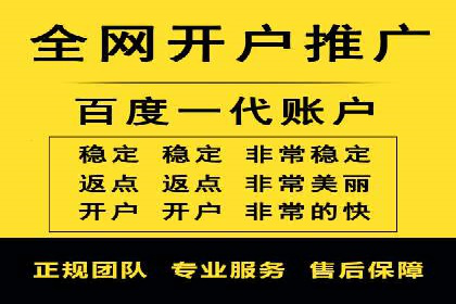 百度竞价广告投放数据分析
